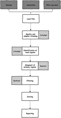 UTRme: A Scoring-Based Tool to Annotate Untranslated Regions in Trypanosomatid Genomes